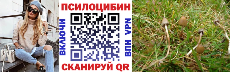 Галлюциногенные грибы Magic Shrooms  наркотики  нарко площадка официальный сайт  Константиновск 